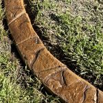 Sayidi Stone