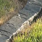Sayidi Stone